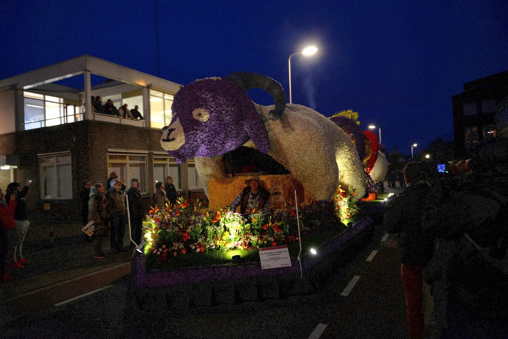 ../Images/Bloemencorso Noordwijkerhout 233.jpg